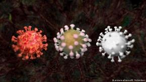 Endemia, epidemia, pandemia: ¿Cuál es la diferencia? Endemia, epidemia, pandemia: ¿Cuál es la diferencia?