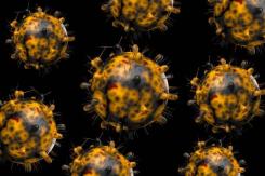 "Deltacron": Identifican casos de COVID-19 que combina variantes Delta y Ómicron en Chipre "Deltacron": Identifican casos de COVID-19 que combina variantes Delta y Ómicron en Chipre
