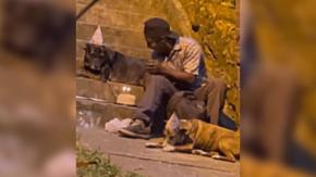 Indigente que se viralizó por celebrar el cumpleaños de sus perros recibió inesperada ayuda Indigente que se viralizó por celebrar el cumpleaños de sus perros recibió inesperada ayuda