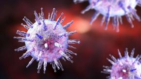 Estudio: el virus de la "enfermedad del beso" puede ser la causa principal de la esclerosis múltiple Estudio: el virus de la "enfermedad del beso" puede ser la causa principal de la esclerosis múltiple