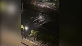 Tsunami en Japón por erupción volcánica en Tonga Tsunami en Japón por erupción volcánica en Tonga