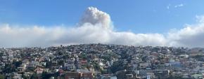 Incendio forestal consume sector de Cuesta Balmaceda en Valparaíso