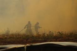 Decretan alerta roja en Viña del Mar por incendio forestal Decretan alerta roja en Viña del Mar por incendio forestal