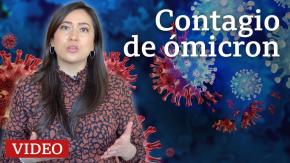 Ómicron: cuándo deja de ser contagiosa una persona infectada de covid (tenga o no síntomas) Ómicron: cuándo deja de ser contagiosa una persona infectada de covid (tenga o no síntomas)