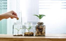 Capital Semilla: el fondo que financia un proyecto de negocios para pymes emergentes Capital Semilla: el fondo que financia un proyecto de negocios para pymes emergentes