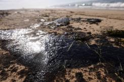 Perú declara "emergencia ambiental" en zona costera afectada por derrame petrolero Perú declara "emergencia ambiental" en zona costera afectada por derrame petrolero