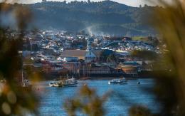 Encuentran a hombre desaparecido en Dalcahue: Sobrevivió comiendo raíces Encuentran a hombre desaparecido en Dalcahue: Sobrevivió comiendo raíces