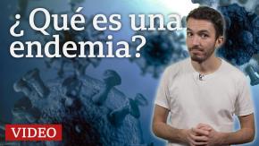 Covid: qué es una endemia, en qué se diferencia de la pandemia y cómo se llega a esta etapa Covid: qué es una endemia, en qué se diferencia de la pandemia y cómo se llega a esta etapa