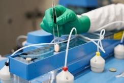 China autoriza el uso “condicional” de la píldora contra el COVID-19 de Pfizer China autoriza el uso “condicional” de la píldora contra el COVID-19 de Pfizer