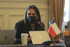 Constituyente Carol Bown agudiza sus críticas al proceso: "La pasada de máquina es impactante"