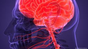 Actividad cerebral de una persona al morir revela cuáles podrían ser nuestros últimos pensamientos Actividad cerebral de una persona al morir revela cuáles podrían ser nuestros últimos pensamientos