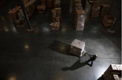 Roban caja con cabezas humanas en Estados Unidos Roban caja con cabezas humanas en Estados Unidos