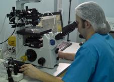 EE.UU. teme que Rusia se apodere de estructuras de "investigación biológica" en Ucrania EE.UU. teme que Rusia se apodere de estructuras de "investigación biológica" en Ucrania