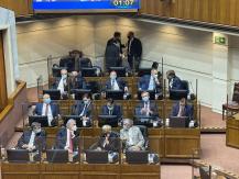 La trama que puso a Elizalde a cargo del Senado y dejó la relación UDI-RN al borde del quiebre La trama que puso a Elizalde a cargo del Senado y dejó la relación UDI-RN al borde del quiebre