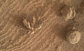 La curiosa roca con forma de flor encontraba por el Curiosity en Marte La curiosa roca con forma de flor encontraba por el Curiosity en Marte