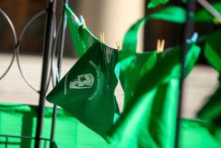 Aborto: En qué consiste la norma aprobada en la Convención y qué dice sobre los plazos Aborto: En qué consiste la norma aprobada en la Convención y qué dice sobre los plazos