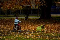 Otoño 2022: pronostican cómo se vienen las temperaturas y lluvias entre marzo y mayo de este año Otoño 2022: pronostican cómo se vienen las temperaturas y lluvias entre marzo y mayo de este año