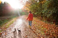 Últimas horas del verano: ¿Cuándo llega el otoño a Chile este 2022? Últimas horas del verano: ¿Cuándo llega el otoño a Chile este 2022?