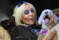 La imagen de Miley Cyrus tomando en brazos a una perrita chilena que se hizo viral La imagen de Miley Cyrus tomando en brazos a una perrita chilena que se hizo viral