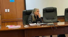 "He sido víctima de un linchamiento público": Concejala Lorenzini renunció a Revolución Democrática "He sido víctima de un linchamiento público": Concejala Lorenzini renunció a Revolución Democrática