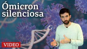 Ómicron "silenciosa": cómo es la nueva sub-variante de la covid y qué tan contagiosa es