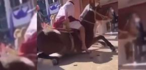 Ministro de Educación anuncia investigación de Superintendencia tras denuncia de maltrato animal Ministro de Educación anuncia investigación de Superintendencia tras denuncia de maltrato animal