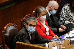 Cámara rechaza proyecto de retiro acotado presentado por el gobierno Cámara rechaza proyecto de retiro acotado presentado por el gobierno