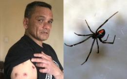 "Yo era un banquete para ellas": El infierno de un hombre que convive con plaga de arañas en su casa "Yo era un banquete para ellas": El infierno de un hombre que convive con plaga de arañas en su casa