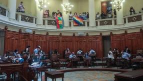 Convención: Pleno aprueba solo uno de 38 artículos que derivaron de la Consulta Indígena