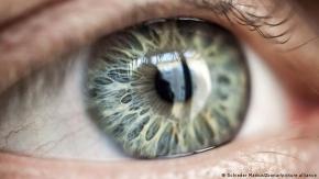 Vida después de la muerte: científicos reviven células oculares humanas de donantes de órganos Vida después de la muerte: científicos reviven células oculares humanas de donantes de órganos