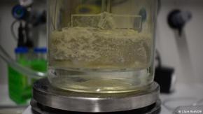 Científicos alemanes hallan una enzima capaz de biodegradar el plástico en menos de un día Científicos alemanes hallan una enzima capaz de biodegradar el plástico en menos de un día