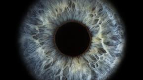 Los científicos que "revivieron" las células de la retina de un donante muerto Los científicos que "revivieron" las células de la retina de un donante muerto