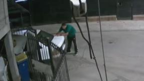 Fue golpeado por más de media hora: Revelan nuevo video de linchamiento a joven en La Florida Fue golpeado por más de media hora: Revelan nuevo video de linchamiento a joven en La Florida