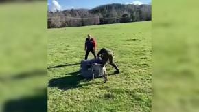 Villarrica: SAG interpone denuncia por funcionario que entregó zorro a perros para que lo devoraran Villarrica: SAG interpone denuncia por funcionario que entregó zorro a perros para que lo devoraran
