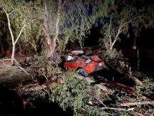 Menores roban auto en Los Andes y protagonizan accidente en Colina Menores roban auto en Los Andes y protagonizan accidente en Colina