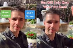 ¿Qué escuchas? El antiguo video que volvió a hacerse viral en TikTok y nos tiene de cabeza ¿Qué escuchas? El antiguo video que volvió a hacerse viral en TikTok y nos tiene de cabeza