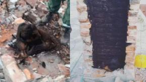 Hombre intentó entrar a la casa de su ex pareja y quedó atrapado en la chimenea Hombre intentó entrar a la casa de su ex pareja y quedó atrapado en la chimenea