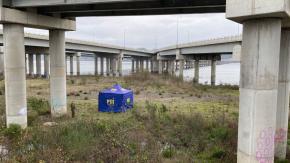 Encuentran cuerpo de persona en ribera del río Biobío en Concepción Encuentran cuerpo de persona en ribera del río Biobío en Concepción