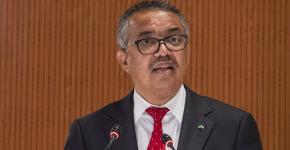 Director General de OMS sobre el aborto: "Todas las mujeres deben poder decidir sobre sus cuerpos" Director General de OMS sobre el aborto: "Todas las mujeres deben poder decidir sobre sus cuerpos"
