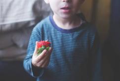 Condenan a padres por dejar morir de hambre a su hijo: lo alimentaban solo con vegetales y frutas Condenan a padres por dejar morir de hambre a su hijo: lo alimentaban solo con vegetales y frutas