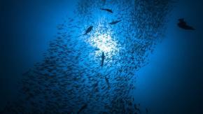 Naciones Unidas pide acciones más ambiciosas para proteger a los océanos Naciones Unidas pide acciones más ambiciosas para proteger a los océanos