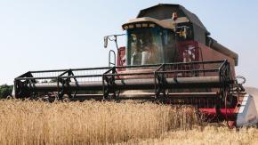 ¿Qué está haciendo Rusia con el grano robado a Ucrania? ¿Qué está haciendo Rusia con el grano robado a Ucrania?