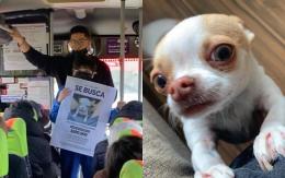 Familia recuperó a perrito robado en Tomé y acusa que delincuentes le sacaron los dientes Familia recuperó a perrito robado en Tomé y acusa que delincuentes le sacaron los dientes