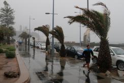 Emiten alerta por fuertes vientos en nueve regiones del país Emiten alerta por fuertes vientos en nueve regiones del país