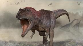 Hallazgo en Argentina: nuevo dinosaurio gigante con brazos diminutos Hallazgo en Argentina: nuevo dinosaurio gigante con brazos diminutos