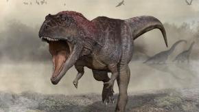 El hallazgo que aporta nuevos detalles sobre por qué los Tyrannosaurus rex tenían los brazos pequeño El hallazgo que aporta nuevos detalles sobre por qué los Tyrannosaurus rex tenían los brazos pequeño