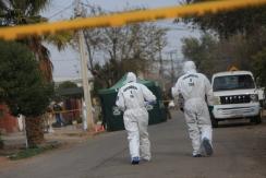 Mujer murió tras caída de árbol sobre carpa donde dormía en Ovalle Mujer murió tras caída de árbol sobre carpa donde dormía en Ovalle