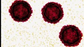 Qué es y cómo se propaga la polio, la enfermedad casi erradicada de la que se detectó el primer caso Qué es y cómo se propaga la polio, la enfermedad casi erradicada de la que se detectó el primer caso
