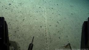 Misteriosa hilera de agujeros en el fondo marino desconcierta a científicos oceánicos