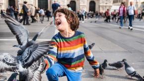 Las sorprendentes habilidades de las palomas (y por qué las defiendo con pasión) Las sorprendentes habilidades de las palomas (y por qué las defiendo con pasión)